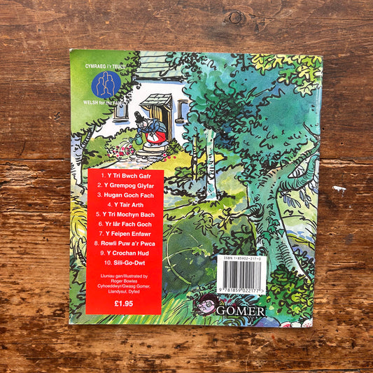 Hugan Goch Fach - Storiau'r Sosban Fawr 3 - 1995 (Preloved)