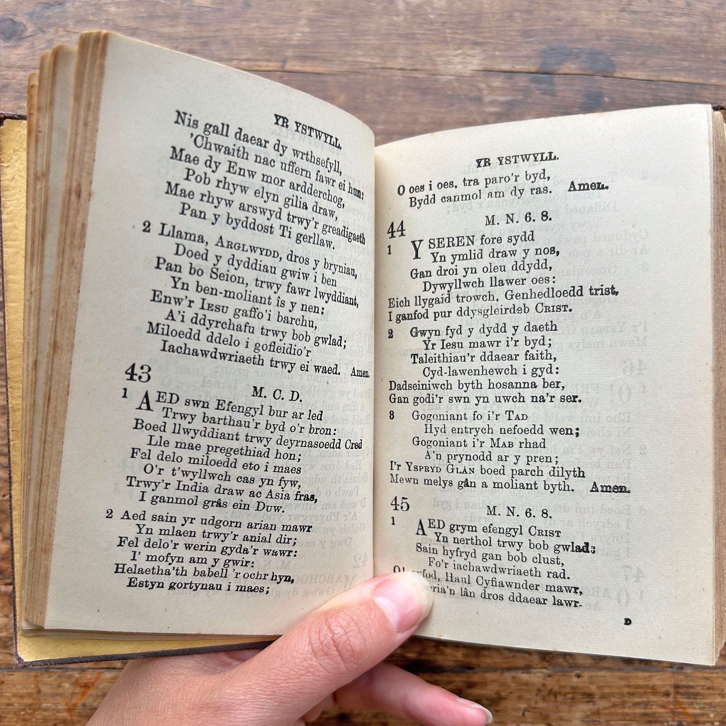 Hymnau - Gwasanaeth yr Eglwys yn Nghymru - Antique Welsh Hymn Book 1899 (Preloved)