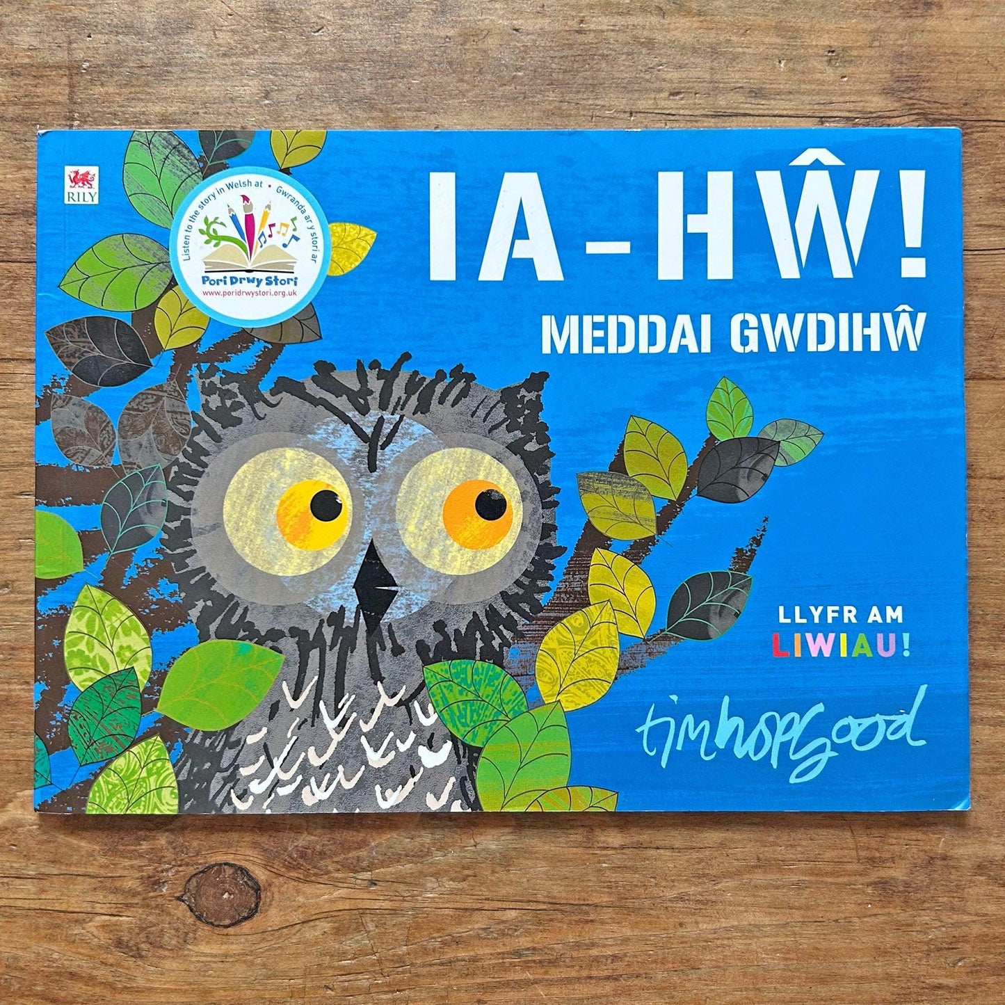 Ia-Hw! Meddai Gwdihw - Liwiau (Preloved)