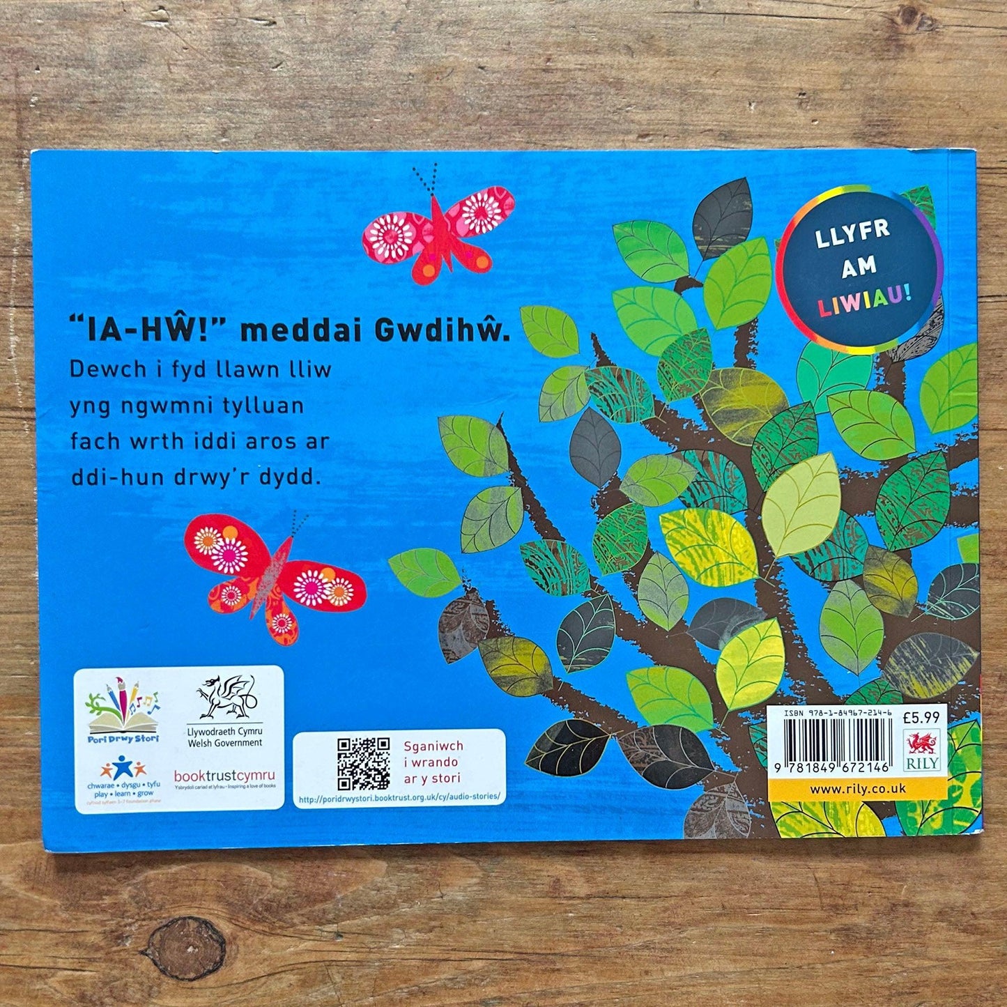 Ia-Hw! Meddai Gwdihw - Liwiau (Preloved)