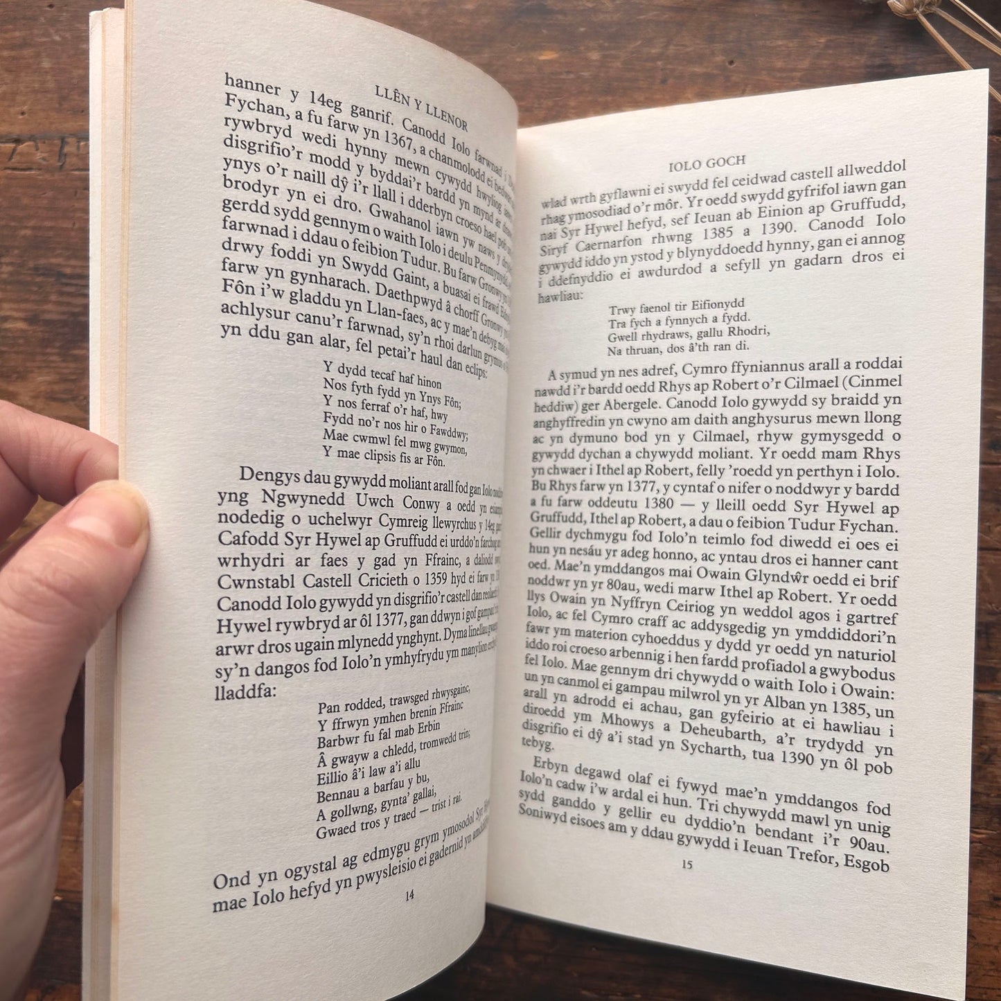 Nedw - E. Tegla Davies - Byrddau Glas - 1922 (Wedi'i ail-law)