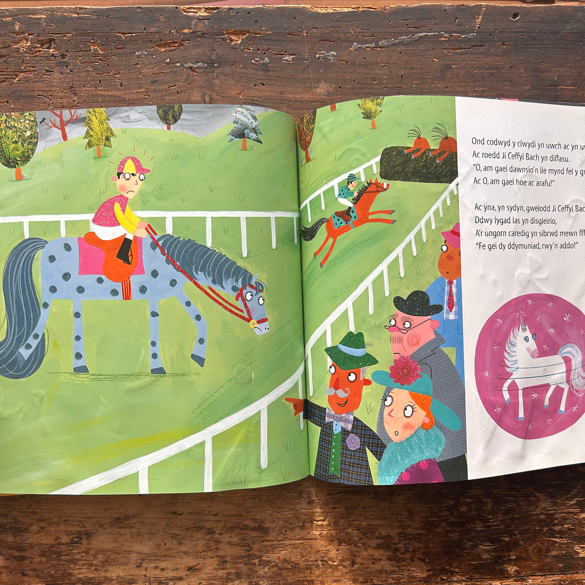 Ji Ceffyl Bach a'r Ungorn - Sugarlump and the Unicorn - Julia Donaldson (Preloved)
