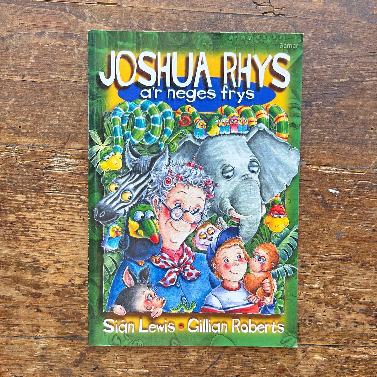 Joshua Rhys a'r Neges Frys - Siân Lewis (Preloved)