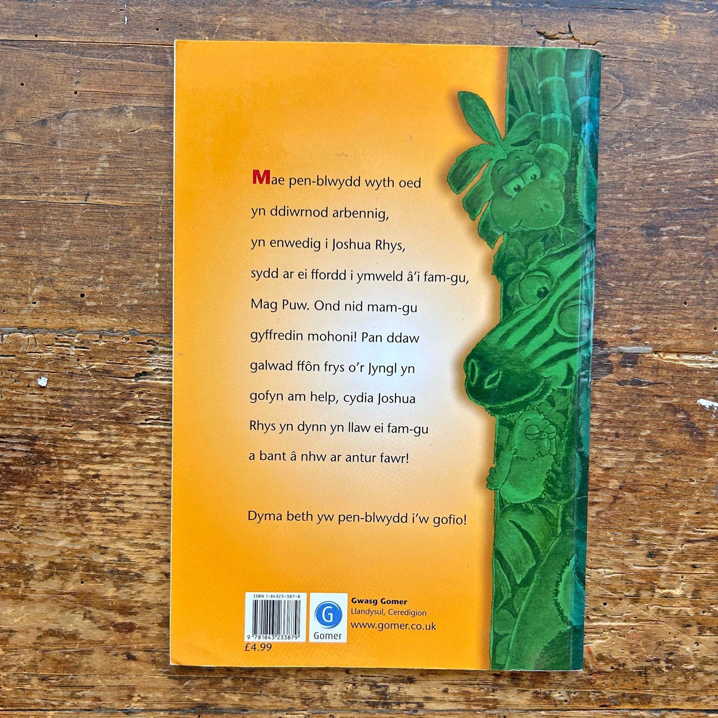 Joshua Rhys a'r Neges Frys - Siân Lewis (Preloved)