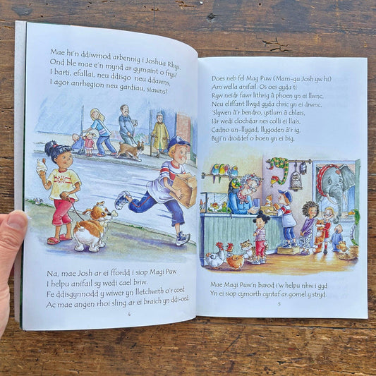 Joshua Rhys a'r Neges Frys - Siân Lewis (Preloved)