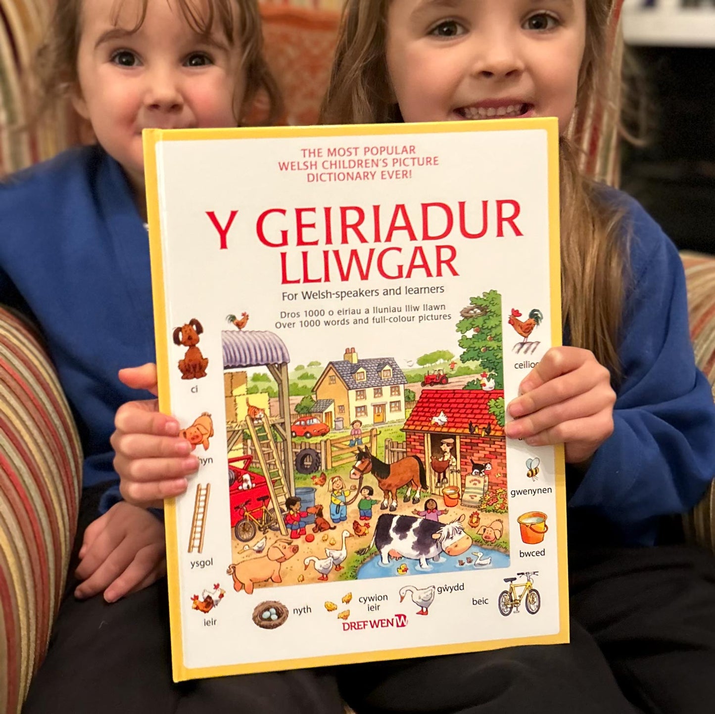 Y Geiriadur Lliwgar / First Thousand Words in Welsh