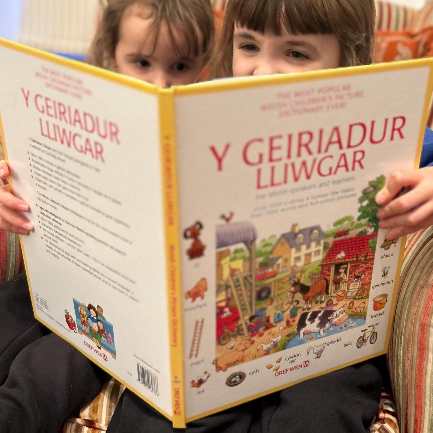 Y Geiriadur Lliwgar / First Thousand Words in Welsh