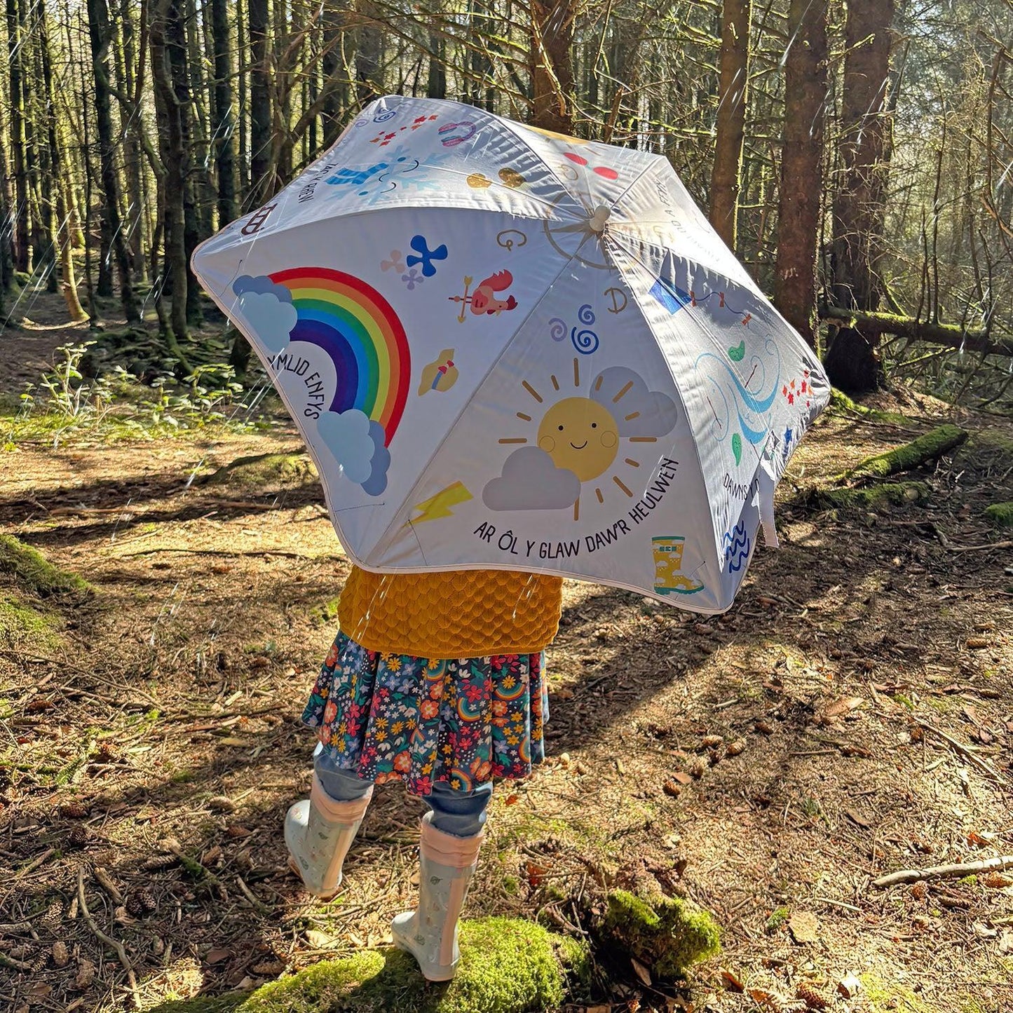 Ambarél Cerdded - Welsh Children's - Tywydd / Tywydd