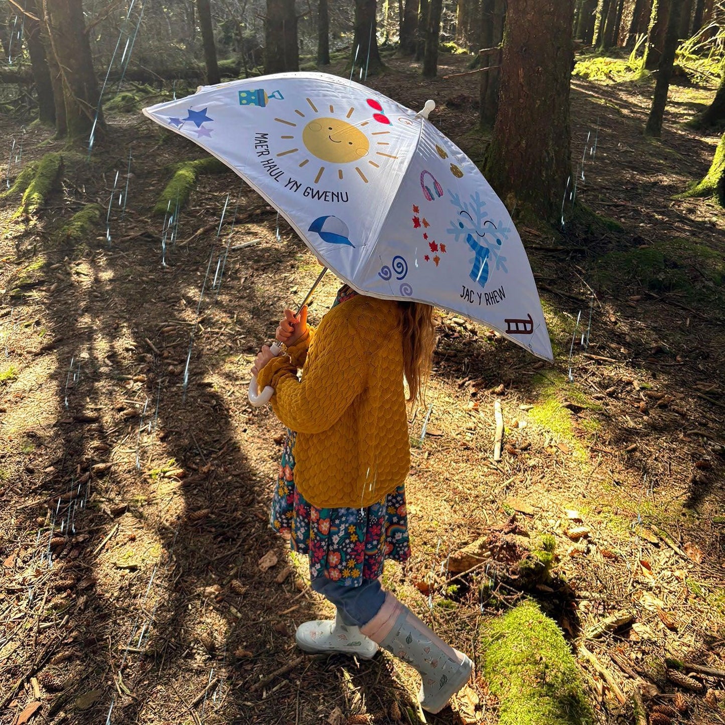 Ambarél Cerdded - Welsh Children's - Tywydd / Tywydd