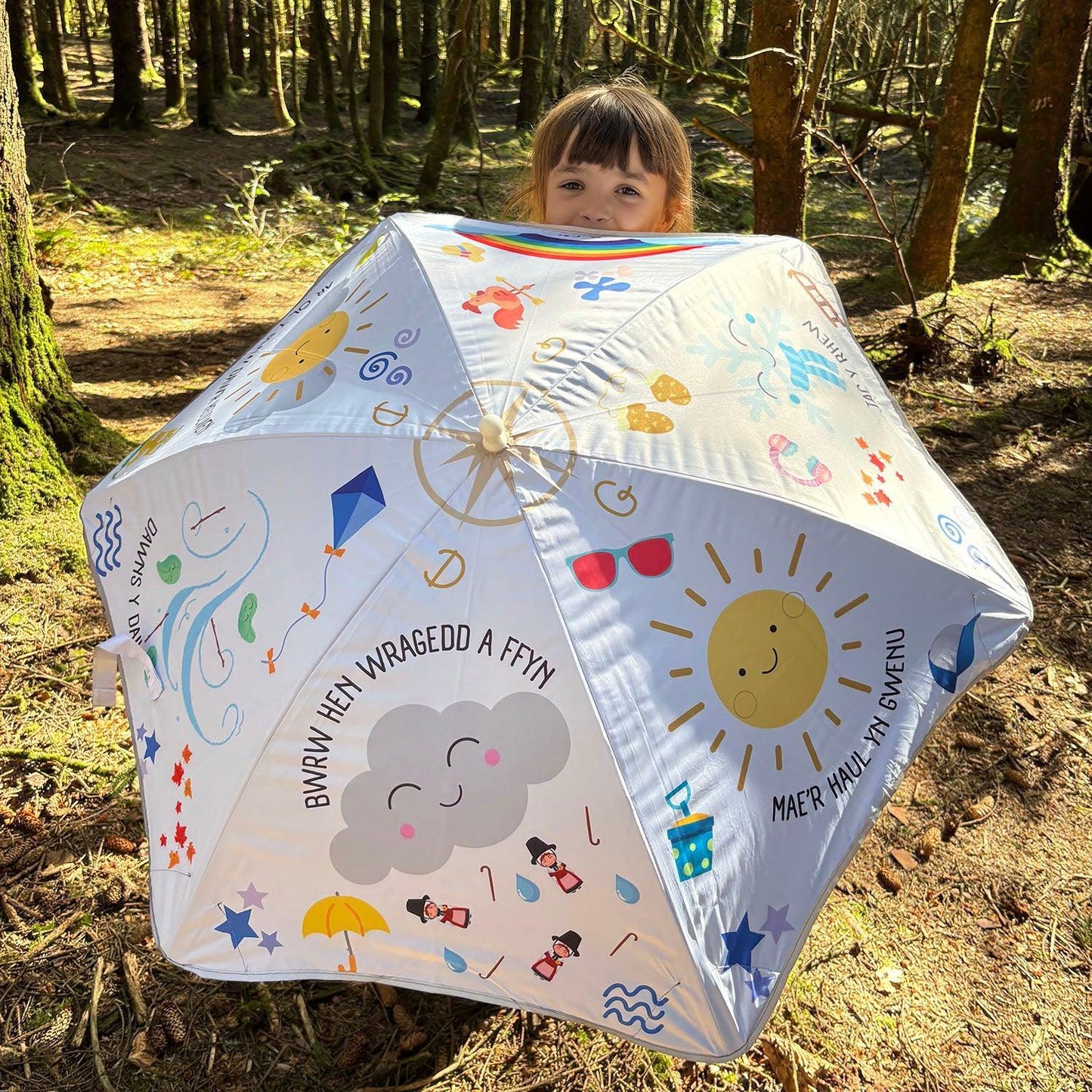 Ambarél Cerdded - Welsh Children's - Tywydd / Tywydd
