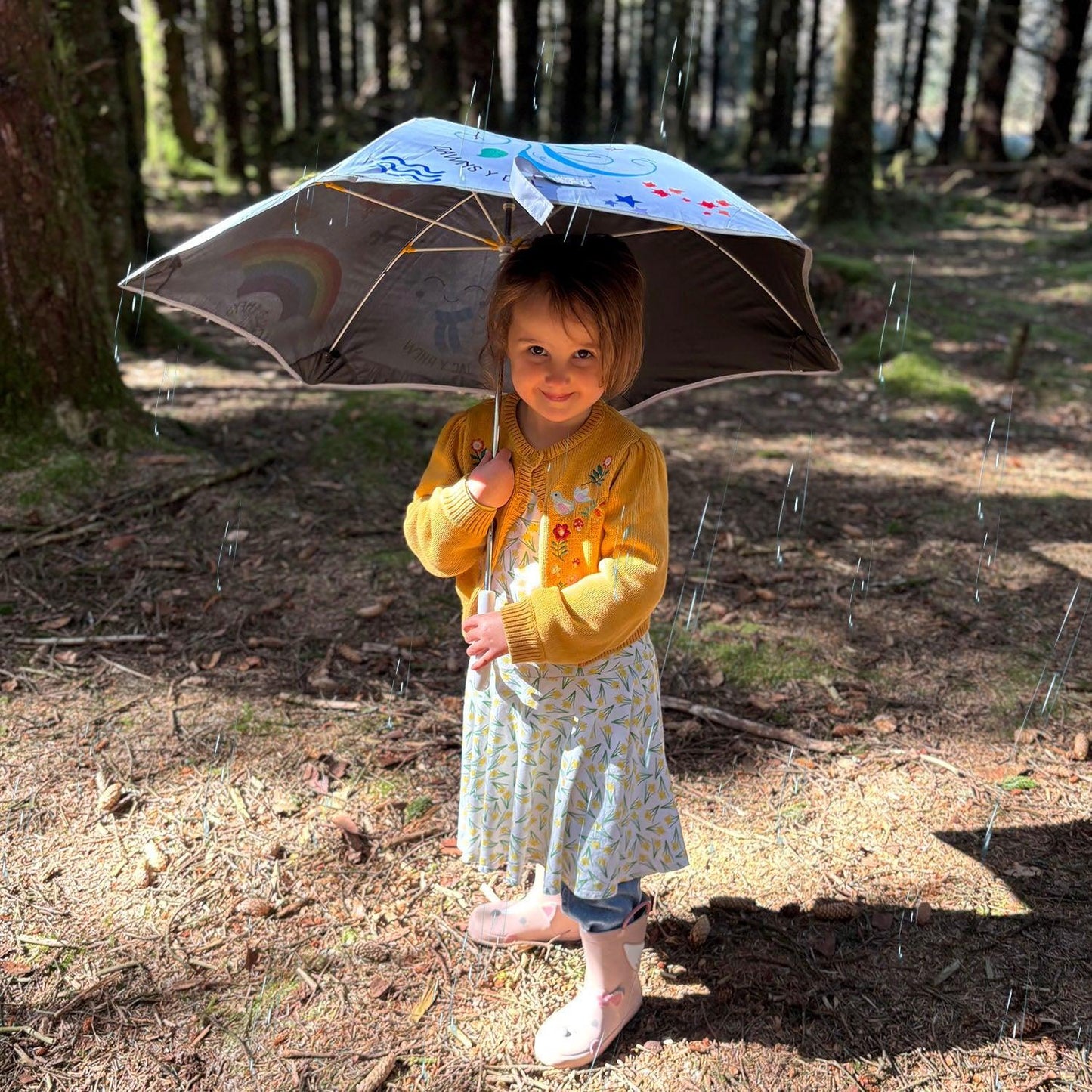 Ambarél Cerdded - Welsh Children's - Tywydd / Tywydd