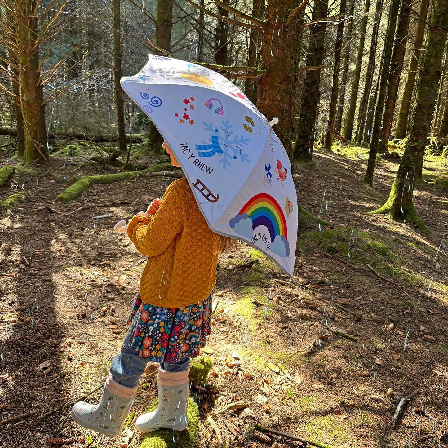Ambarél Cerdded - Welsh Children's - Tywydd / Tywydd