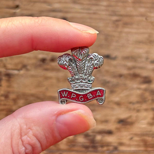 Lapel Pin / Badge - Vintage - Fleur de Lis - W.P.C.B.A (Preloved)