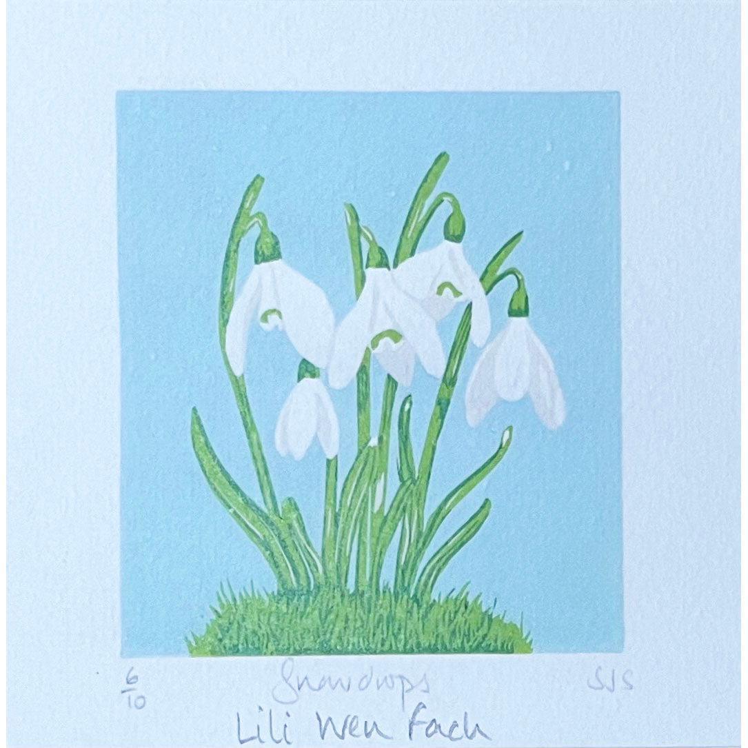 Cerdyn Cyfarch - Eirlys - Lili Wen Fach
