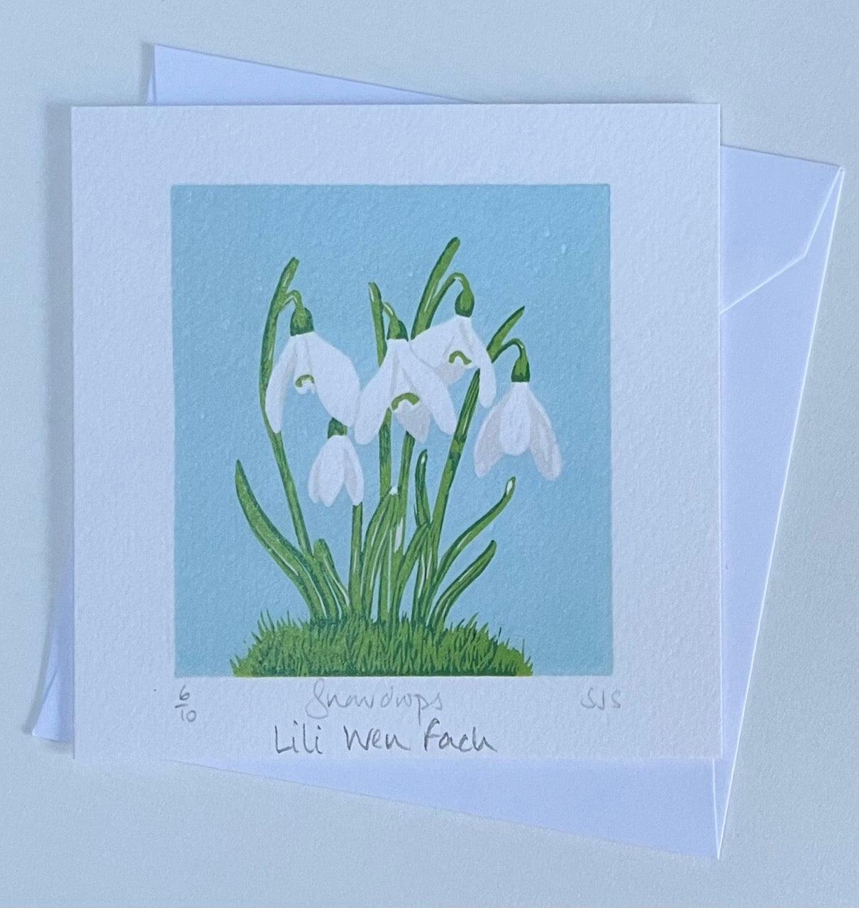 Cerdyn Cyfarch - Eirlys - Lili Wen Fach