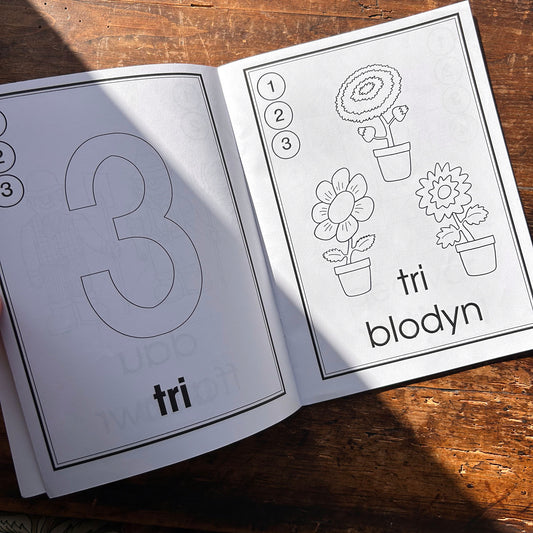 Lliwia'r 123 - Colouring Book (Preloved)