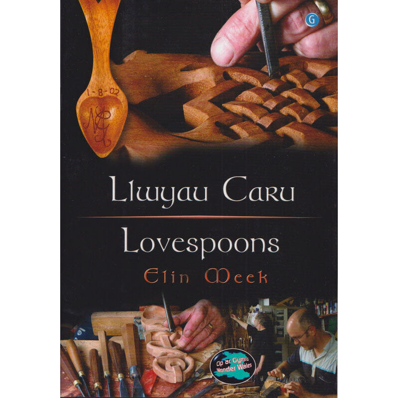 Y Treigladur- A Check-list of Welsh Mutations - D. Geraint Lewis