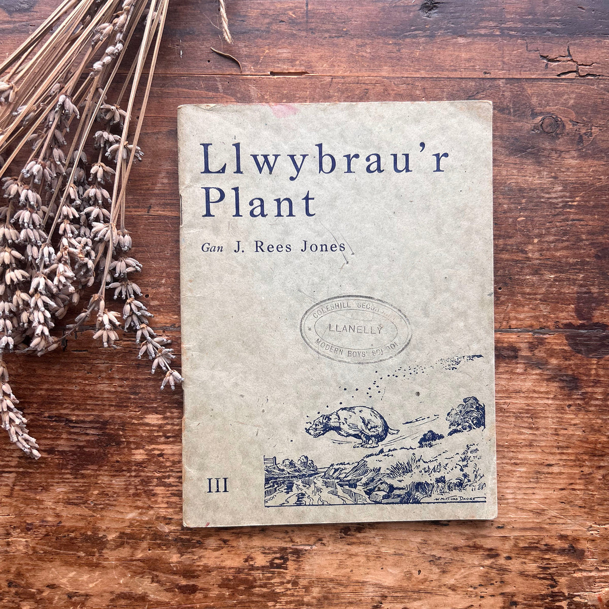 Llwybrau'r Plant - J. Rees Jones - 1950's (Preloved)