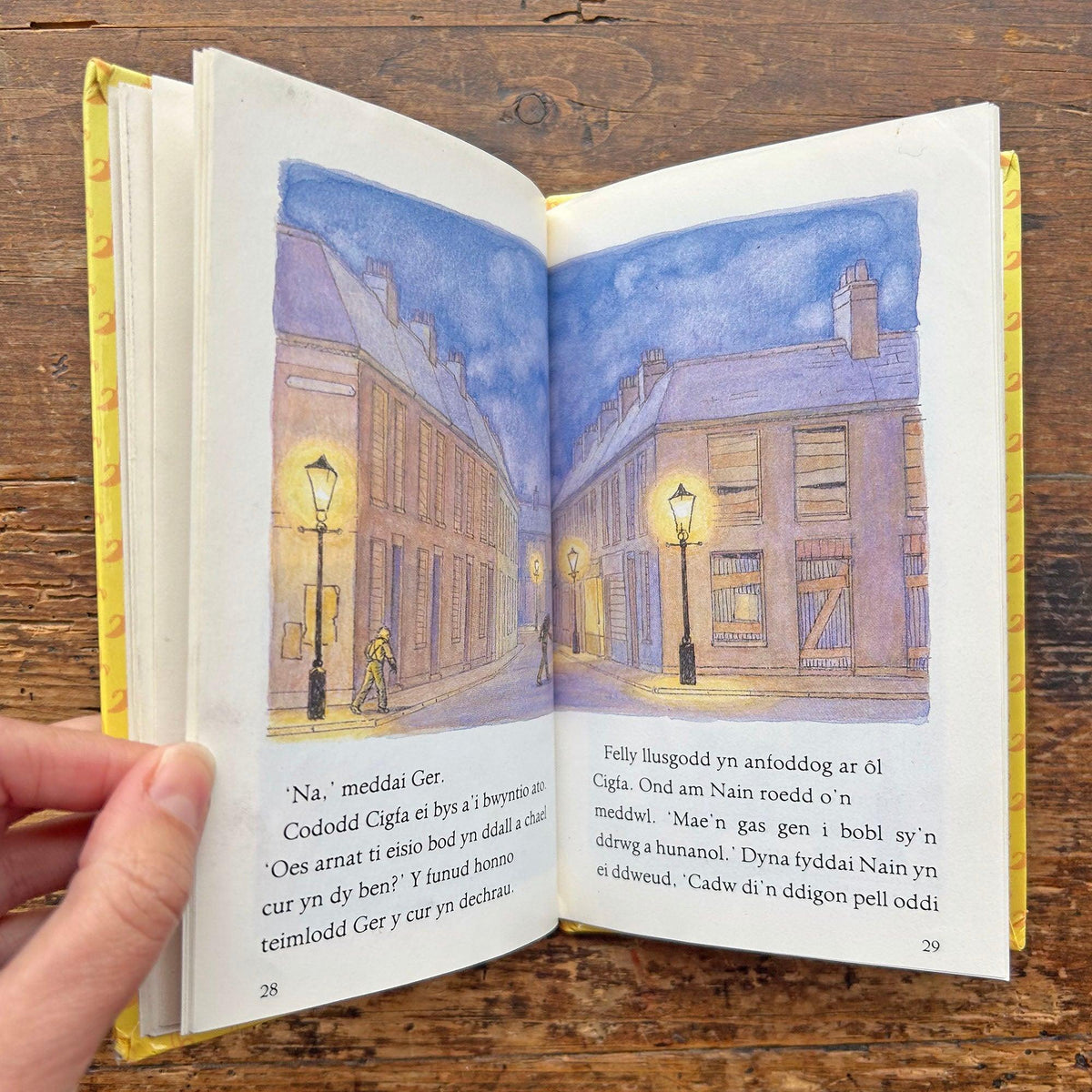 Merch y Brenin Braw - Llyfrau Lloerig - Joan Aiken 1989 (Preloved)