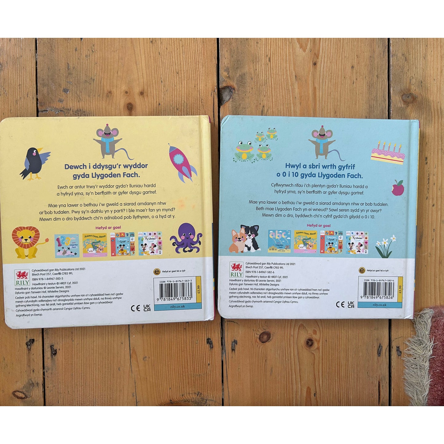 Llygoden Fach - Bundle of 2 Books (Preloved)