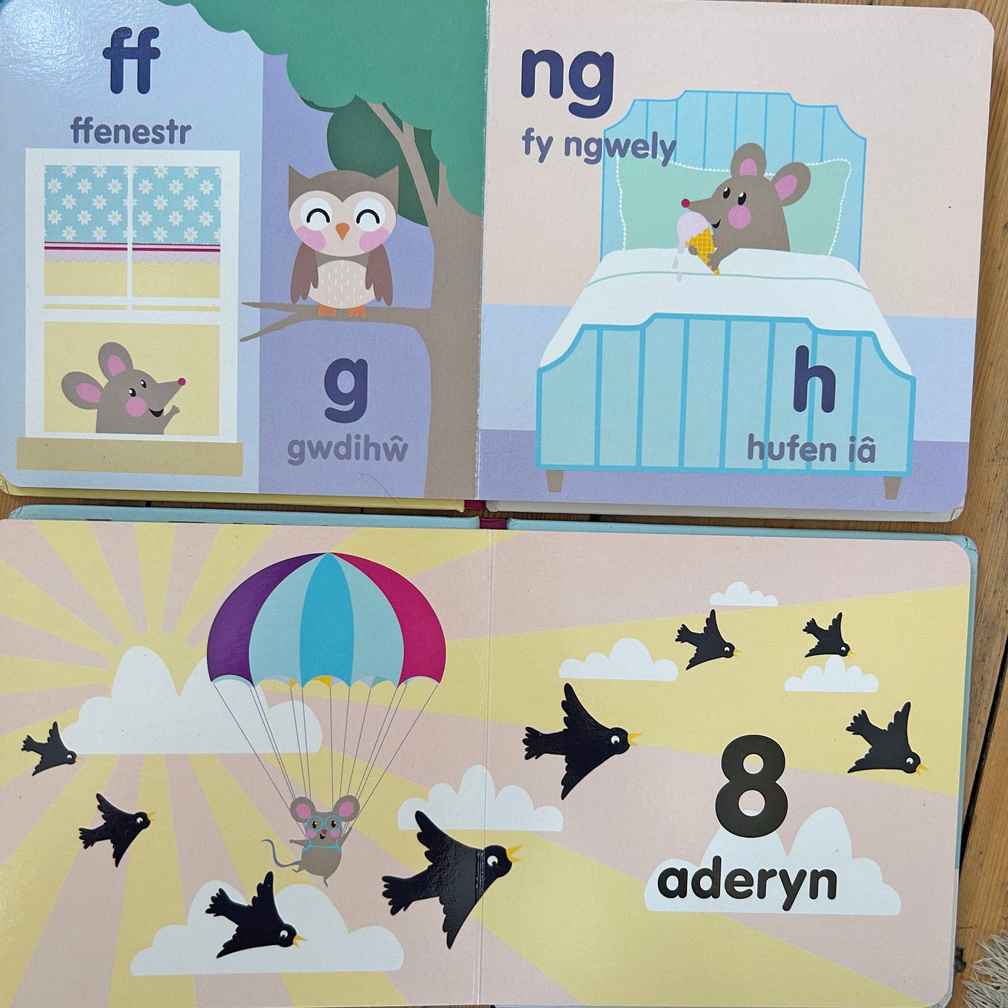 Llygoden Fach - Bundle of 2 Books (Preloved)