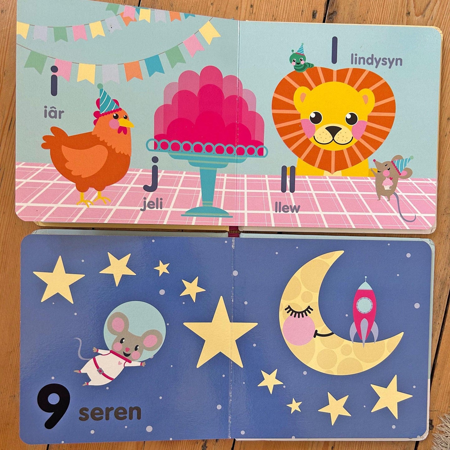 Llygoden Fach - Bundle of 2 Books (Preloved)