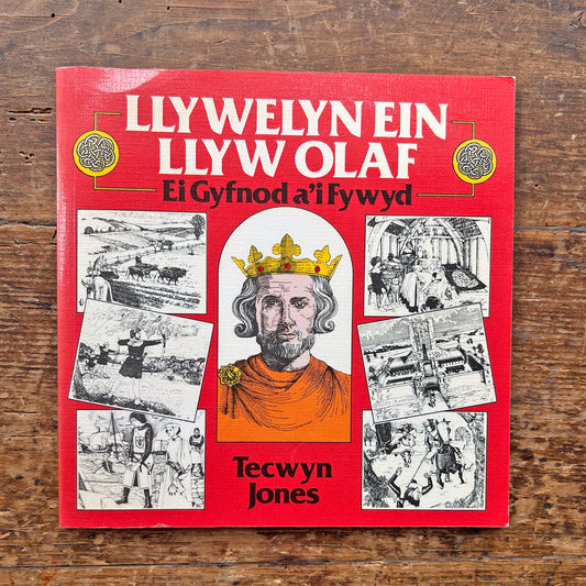 Llywelyn Ein Llyw Olaf - Tecwyn Jones (Preloved)