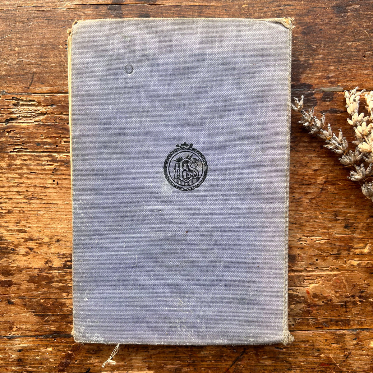 Nedw - E. Tegla Davies - Byrddau Glas - 1922 (Wedi'i ail-law)