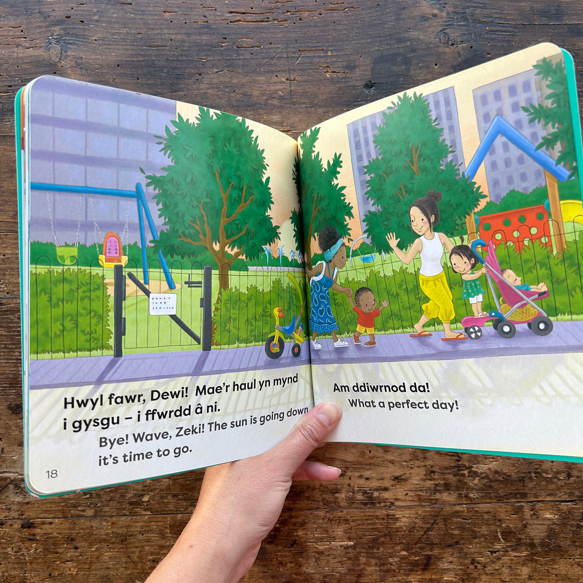 Mae Dewi yn Mynd i'r Parc / Zeki Goes to the Park (Preloved)