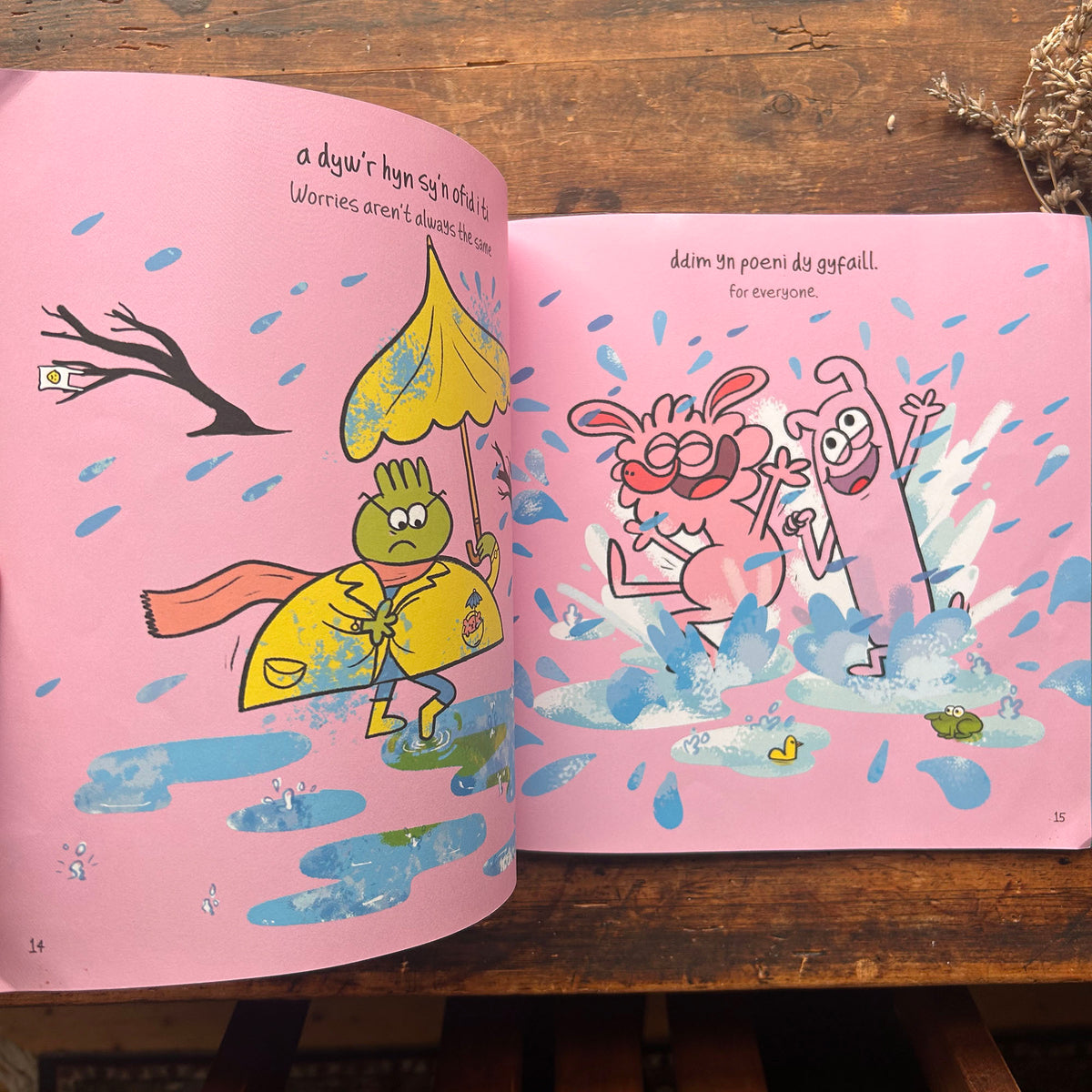 Mae gan Bawb Ofidiau / Everybody Worries (Preloved)