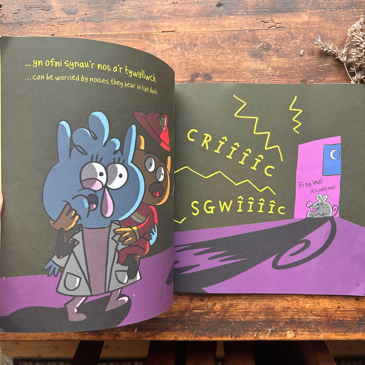 Mae gan Bawb Ofidiau / Everybody Worries (Preloved)