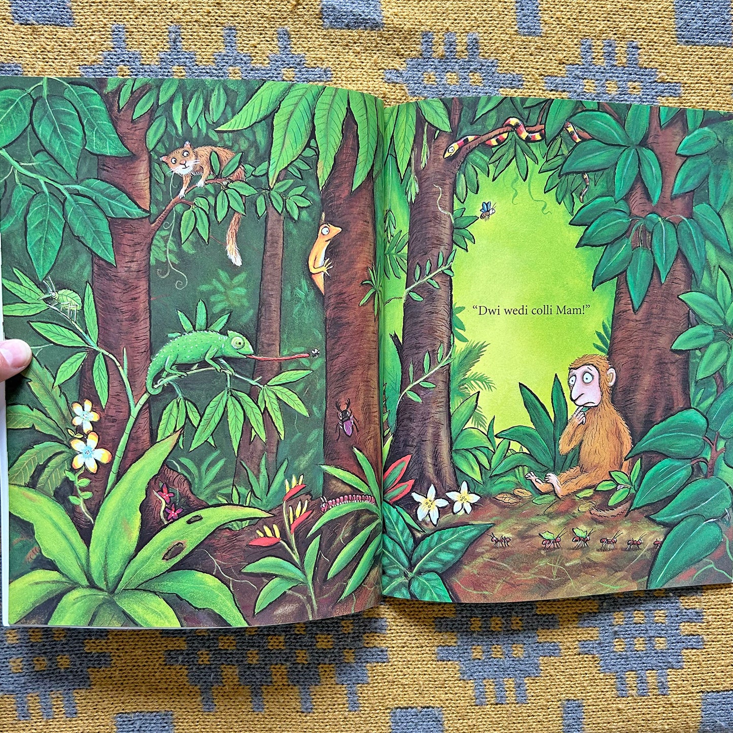 Mae Mam ar Goll - Welsh Julia Donaldson (Preloved)
