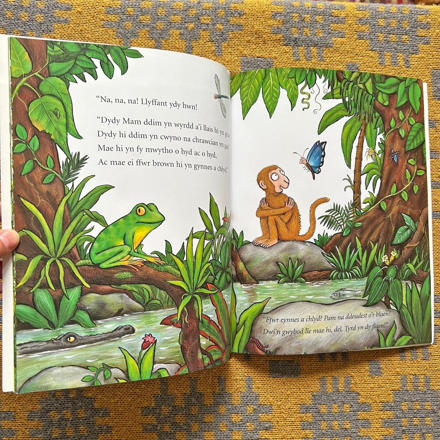 Mae Mam ar Goll - Welsh Julia Donaldson (Preloved)