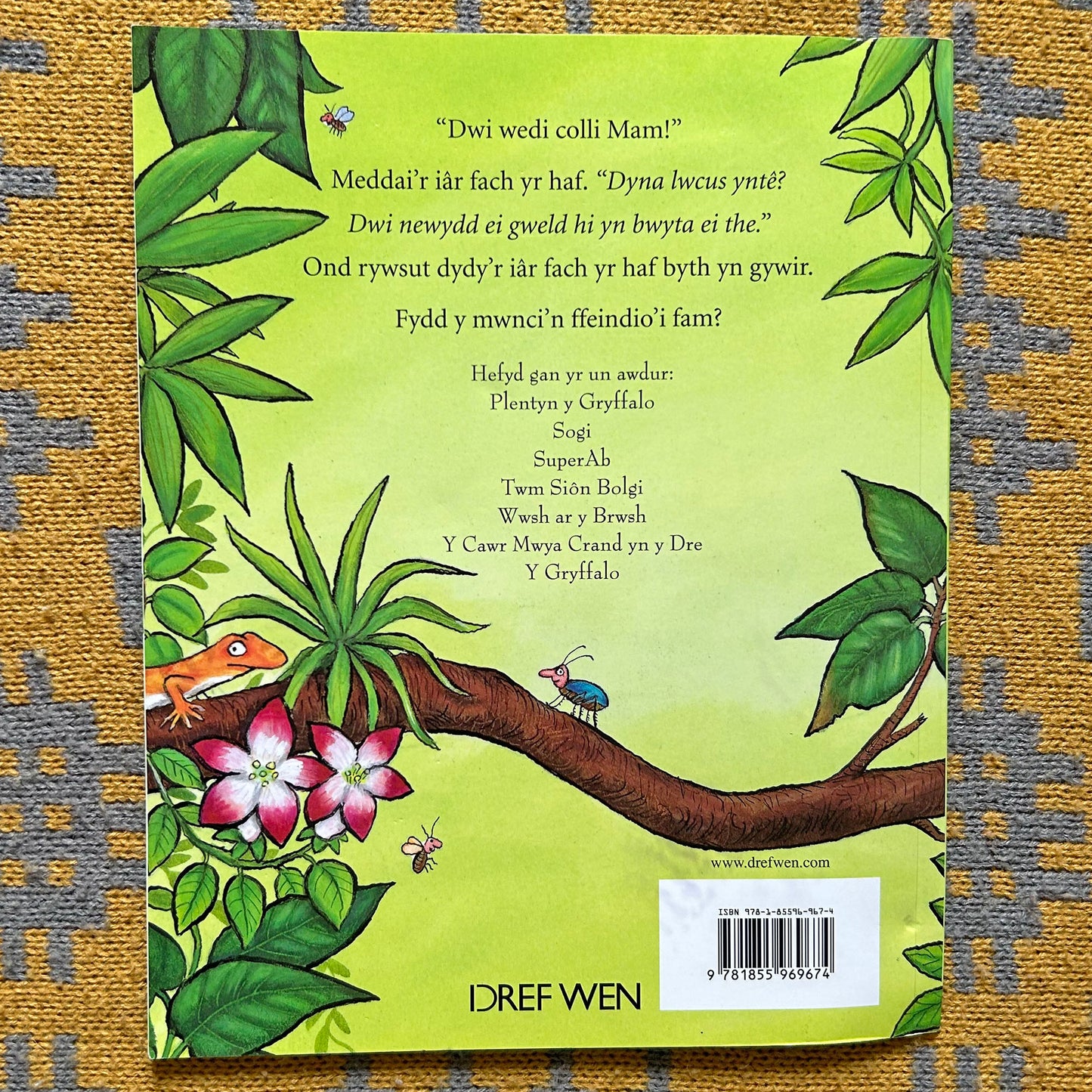 Mae Mam ar Goll - Welsh Julia Donaldson (Preloved)
