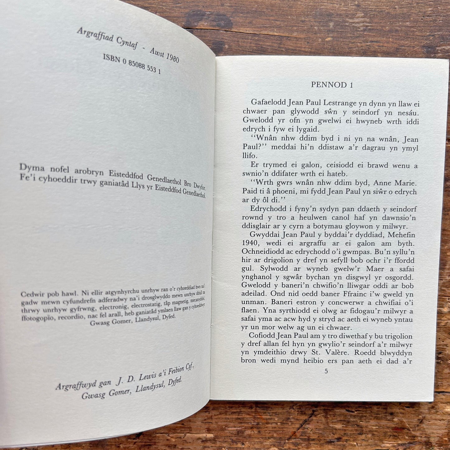 Mae Torch yn Llosgi - J. Selwyn Lloyd (Preloved)