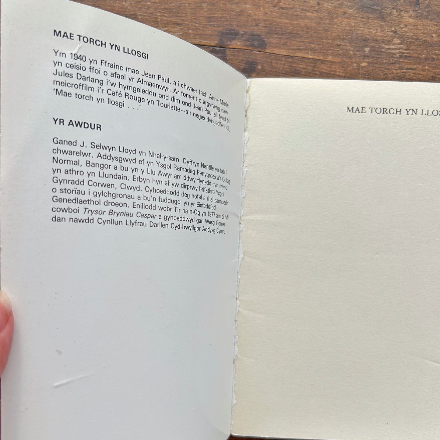 Mae Torch yn Llosgi - J. Selwyn Lloyd (Preloved)