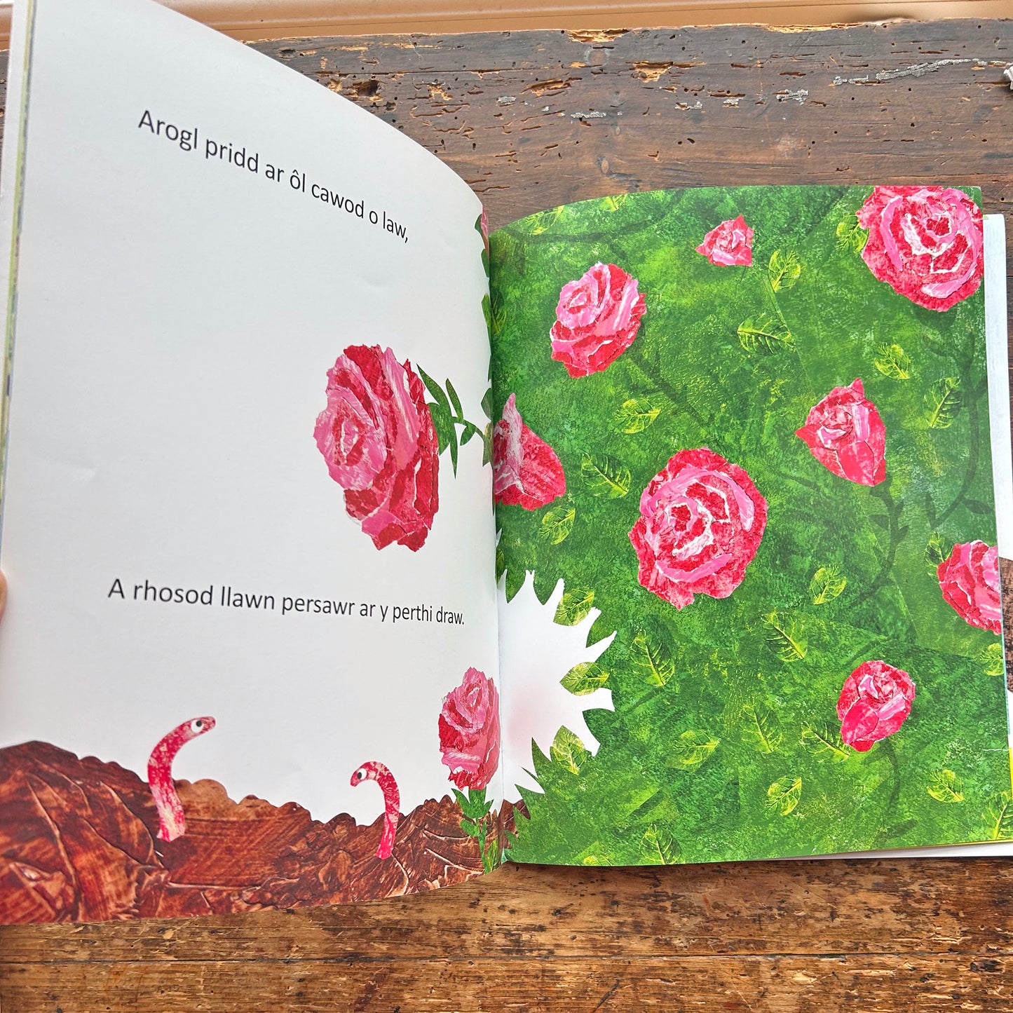 Mae'r Cyfan i Ti - Luned Aaron (Preloved)