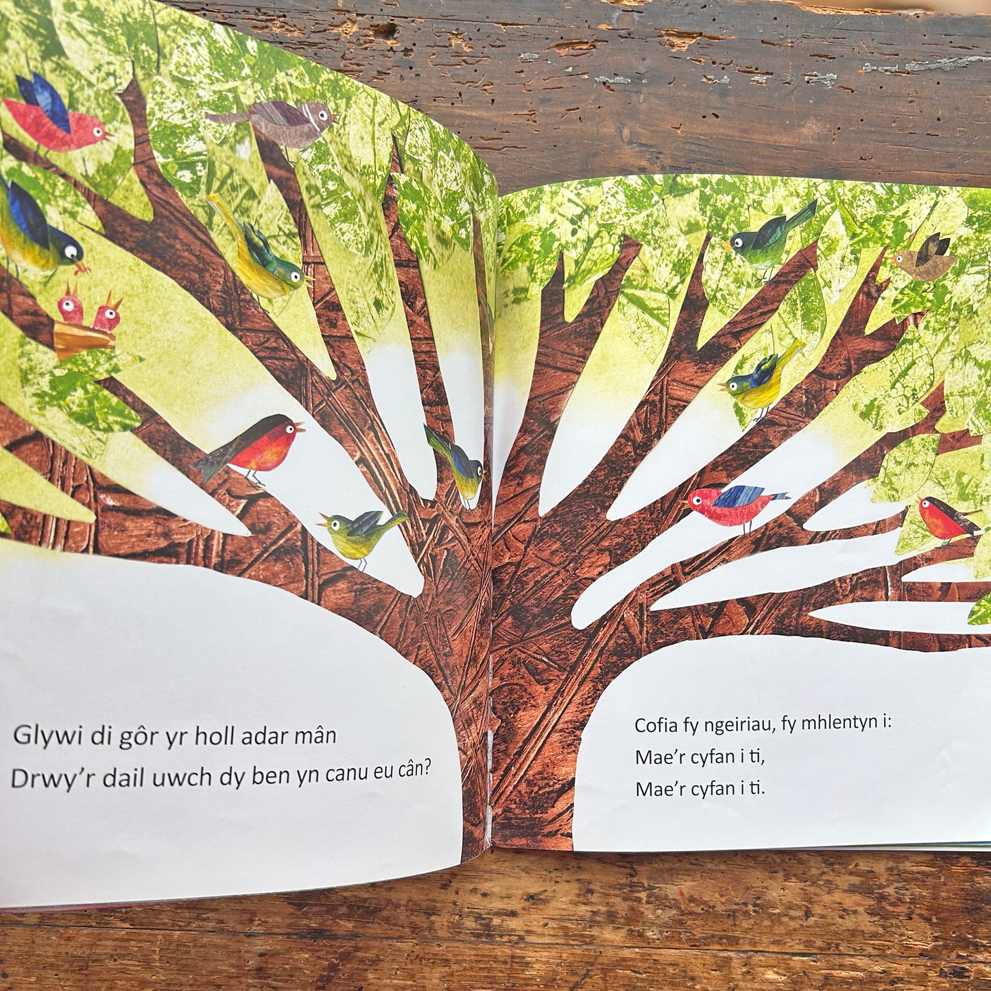 Mae'r Cyfan i Ti - Luned Aaron (Preloved)