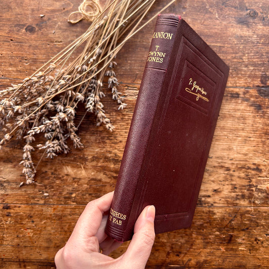 Manion - T Gwynn Jones - 1930 (Preloved)