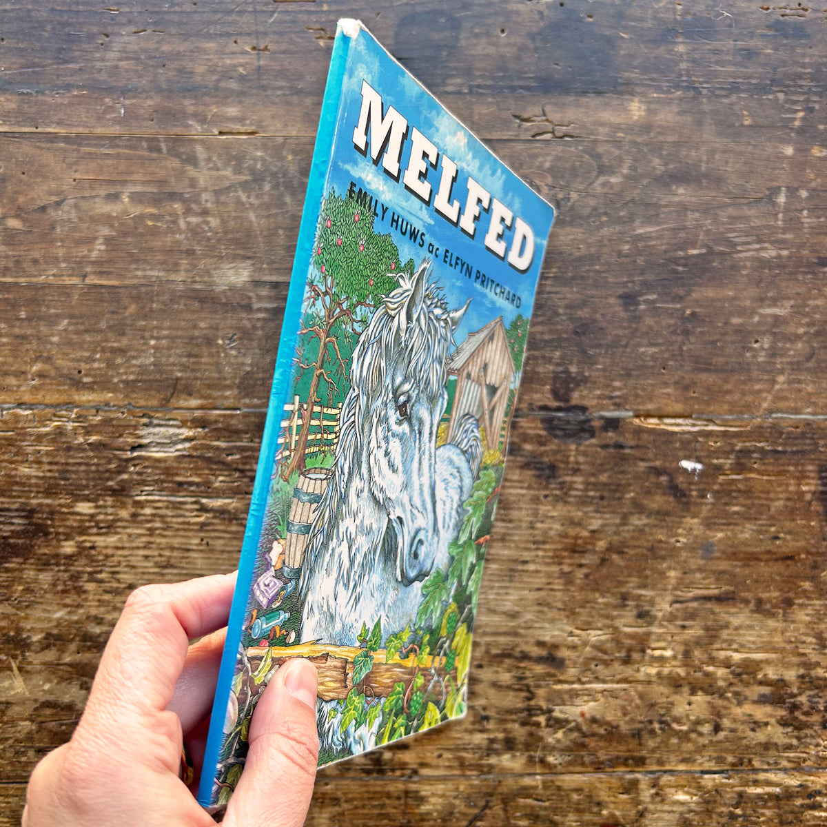 Melfed - Emily Huws ac Elfyn Pritchard - 1995 (Preloved)