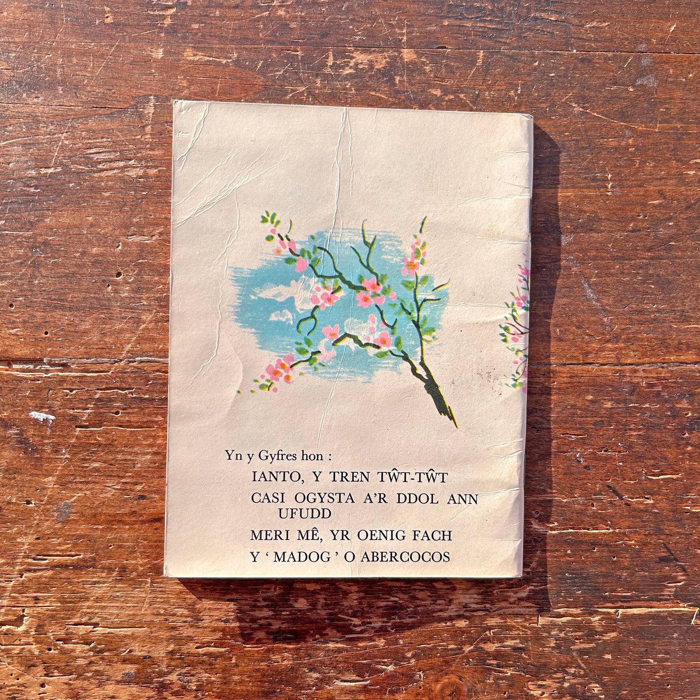 Meri Mê Yr Oenig Fach - Vintage Welsh Book (Preloved)