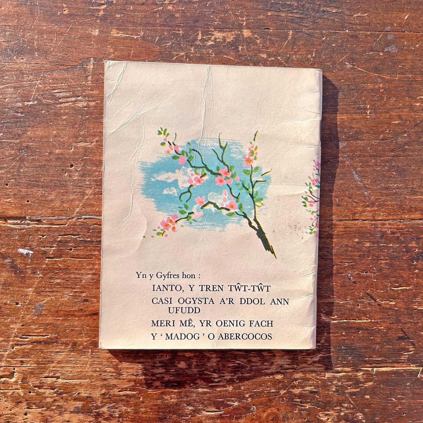 Meri Mê Yr Oenig Fach - Vintage Welsh Book (Preloved)