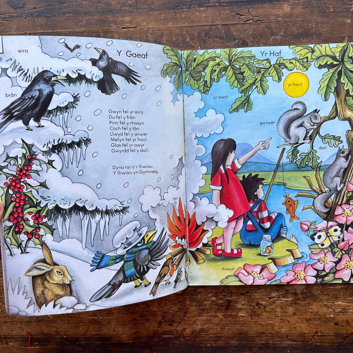 Mi Welais Jac-y-Do - Welsh Nursery Rhymes - Anne Brooke & Lin Jenkins - 1980 (Preloved)