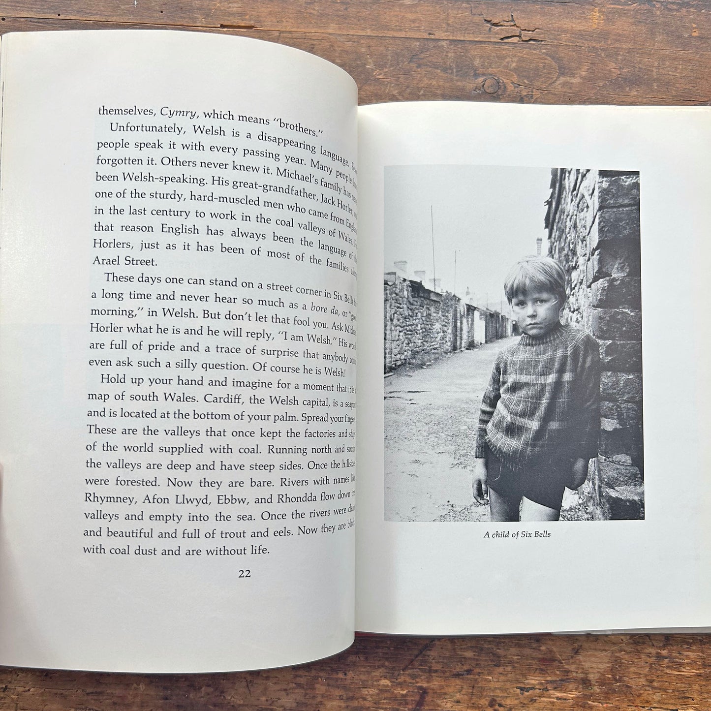 Michael of Wales - Paul Conkin (Preloved)