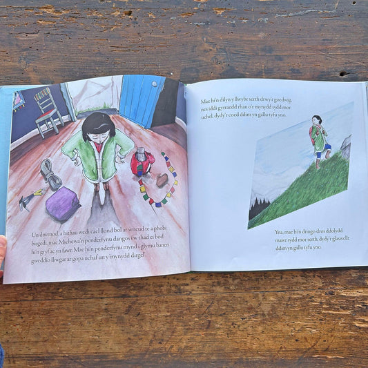 Michewa ar Mynydd - Sean Chambers (Preloved)