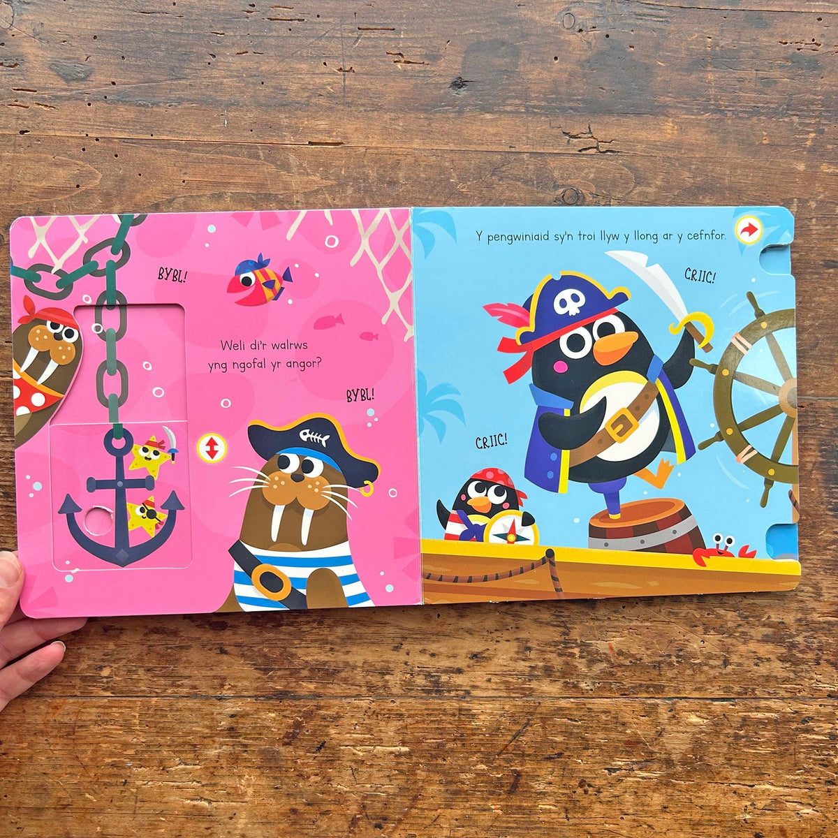Miri'r Môr-Ladron: Miri the Pirate - Push, Pull and Turn (Preloved)