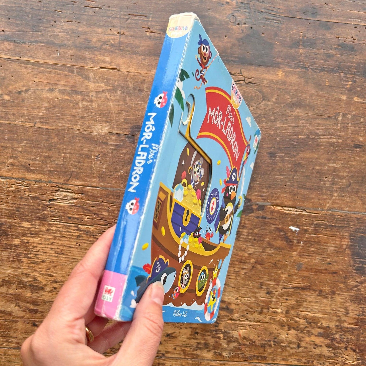 Miri'r Môr-Ladron: Miri the Pirate - Push, Pull and Turn (Preloved)