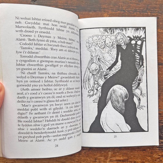 Modrwy Aur Y Bwda - A Storiau Eraill (Preloved)