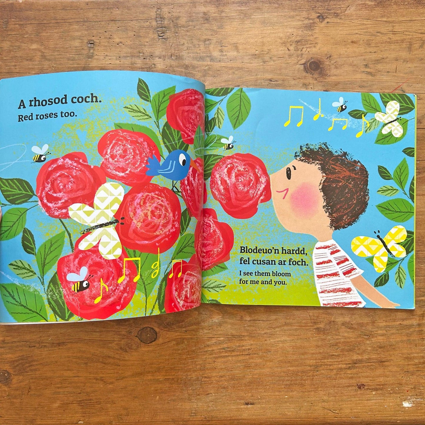 Mor Hyfryd Yw'r Byd - What a Wonderful World (Preloved)