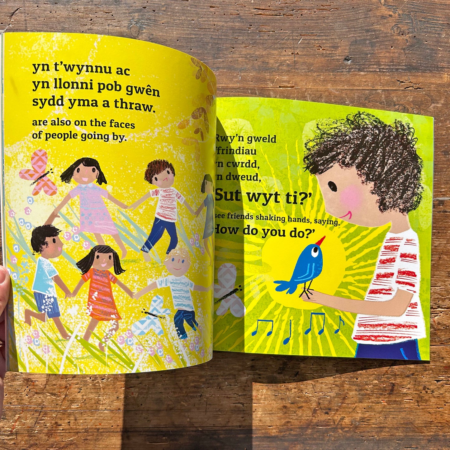 Mor Hyfryd Yw'r Byd - What a Wonderful World (Preloved - Like New)
